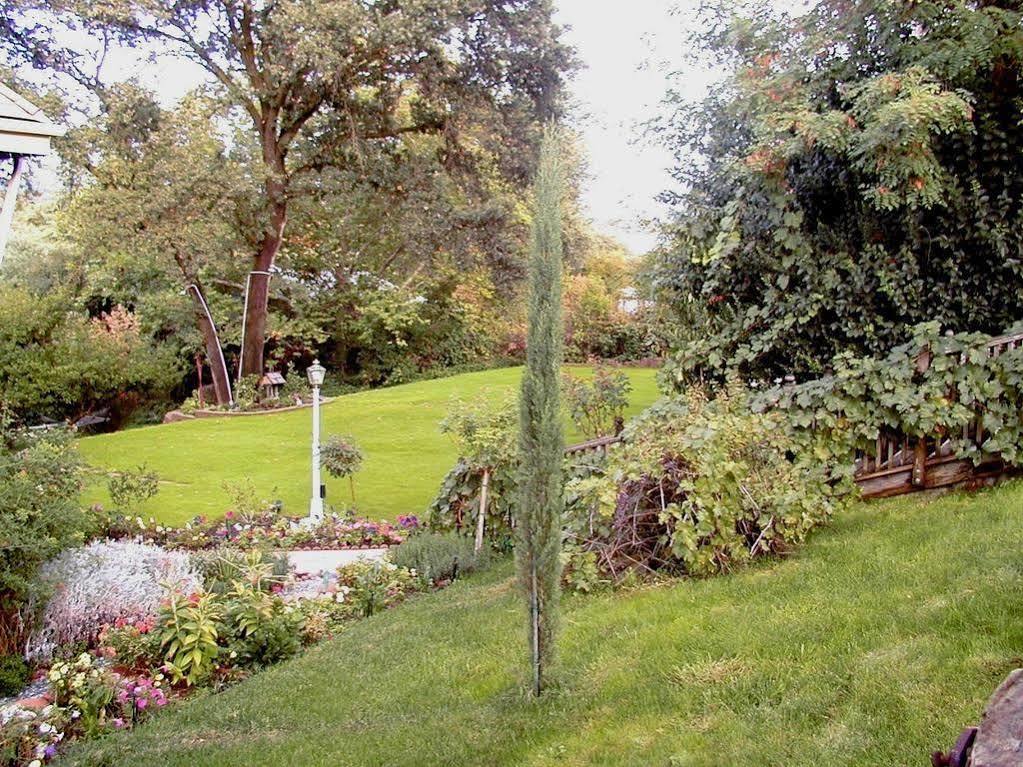 Robin'S Nest Bed & Breakfast San Andreas ภายนอก รูปภาพ